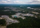 Vijf Amazonelanden arresteren honderden mensen in grootschalige actie tegen milieucriminalite