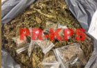 Twee aangehouden bij drugsinval in Paramaribo, ruim 3 kilo in beslag genomen