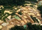 OKGS controleert illegale goudwinning in Brownsberg Natuurpark
