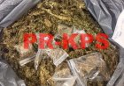 Politie onderschept bijna 3 kilogram softdrugs