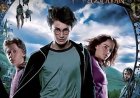 Harry Potter-fans laten stroomkabel verleggen om graf van Dobby te beschermen