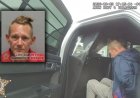 Opmerkelijk – Vader in Florida opgepakt na verbranden van kittens met een föhn voor de ogen v