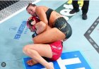 Titelverdediging op UFC 330