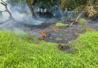 Grasbrand zorgt voor zware rookontwikkeling aan Gieselaan