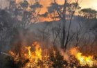 Brandweer verhoogt paraatheid voor extreme droogte