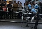 Chinese humanoïde robot Unitree breekt records op de beurs