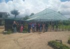 FAO en ministerie van LVV stimuleren duurzame kassenteelt in Suriname