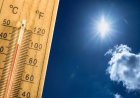 Warm en vochtig weer met kans op buien