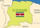 Grootschalige houtkap vanuit Guyana in Tigri-gebied baart regering zorgen