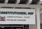 Het Constitutioneel Hof? Een papieren tijger