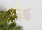 Warme dag met kans op buien en plaatselijk onweer