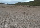 Panama en El Salvador roepen noodtoestand uit vanwege door El Niño