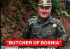Staatseerbetoon voor Mladić veroorzaakt internationale ophef