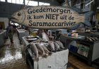 Op de vis staat geen adres