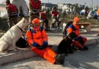 Nederlandse speurhonden ingezet bij zoektocht naar Rodney Leysner