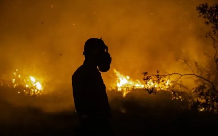 VN: Krachtige El Niño versterkt hitte op een 'planeet die al in brand staat'