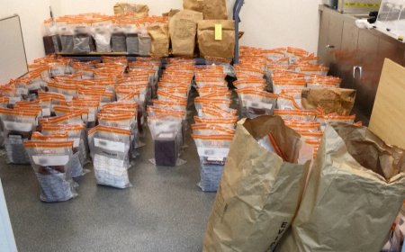 Britse uitvaartondernemer krijgt 20 jaar cel voor misleiding zoals verwisselen van as