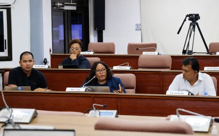 Wetswijziging moet dienstmerken van circa 9500 dienstverleners beschermen in Suriname