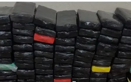242 kilo cocaïne ontdekt in roer van vrachtschip