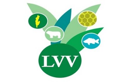 LVV Brokopondo inspireert jongeren tijdens Beroependag