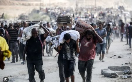 Kritiek op Nederlandse koers rond Gaza houdt aan