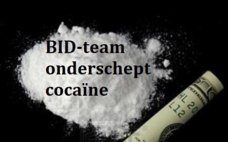 Franse broer en zus op luchthaven opgepakt met respectievelijk 116 en 91 cocaïnebolletjes 
