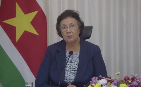 Simons: “Illegale ontbossing door Mennonieten wordt aangepakt”