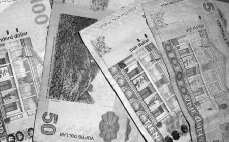 Financiën en Planning: Betalingen arrestantenvoeding uitgevoerd
