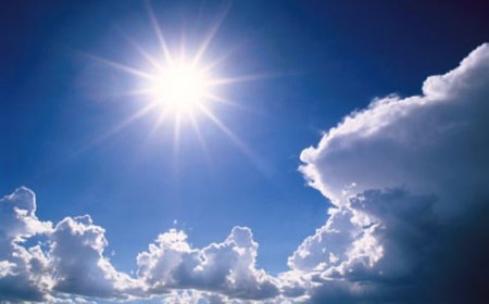 Meteorologische Dienst waarschuwt voor hittestress en onweersbuien