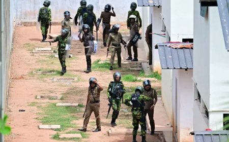 Sri Lanka: Gevangenisrellen eisen drie levens te midden van overbevolking