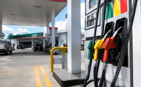 SSEB: pomphouders niet verantwoordelijk voor hogere brandstofprijs bij afschaffing prijscap