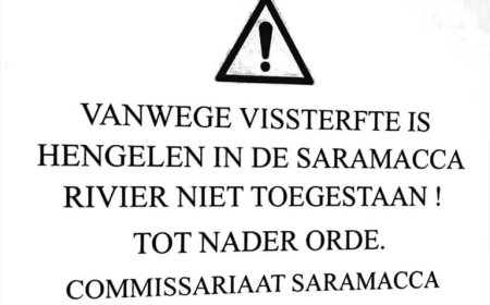 HET DUURT ALLEMAAL TE LANG