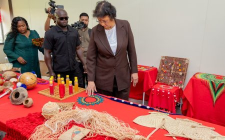 Simons: overheid stelt middelen beschikbaar voor onderzoek na Heritage Month 2026