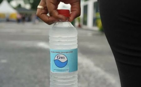 Private sector vreest oneerlijke concurrentie door staatswaterfabriek in Guyana