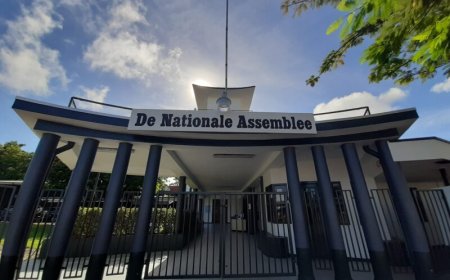 De brief aan de IPU: kent DNA haar eigen staatsrechtelijke instrumenten?