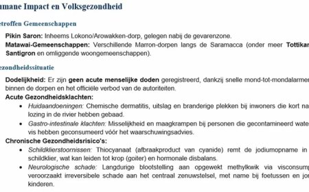 Rapport vissterfte onthult ‘mogelijk’ grotere schade voor mens, dier en milieu