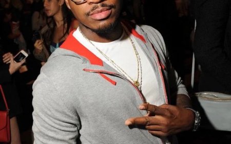 Na Chris Brown ook Ne-Yo aangeklaagd vanwege aanval door hond