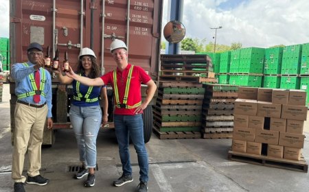 Parbo Bier zet met eerste commerciële export voet op Guyanese markt