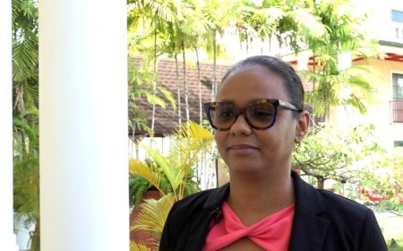 BOG: Suriname uit epidemische fase chikungunya, besmettingen nemen duidelijk af