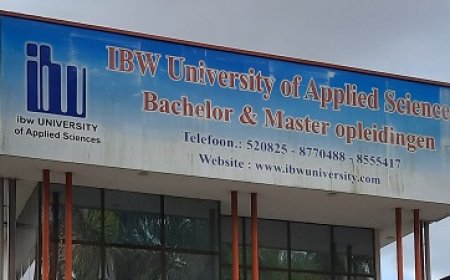 Benoeming Damodar Patak tot IBW-directeur wordt betwist