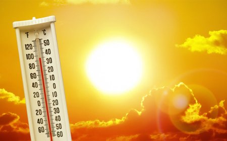 Warm en droog weer houdt aan, gevoelstemperatuur tot 40 graden