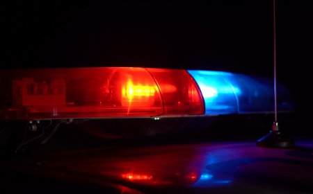Twee mannen aangehouden na aanranding vrouw tijdens autorit