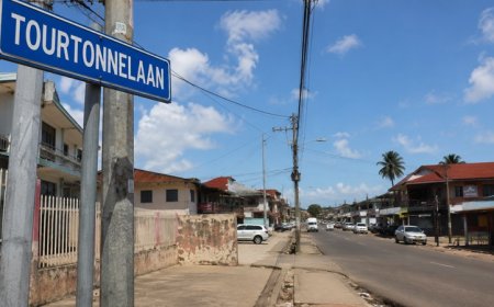 Bewoners Tourtonnelaan slaan alarm over drugs, prostitutie en overlast