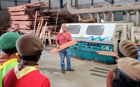 Bezoek houtverwerkingensbedrijven: Jongeren doen inspiratie op voor carrièrekeuze