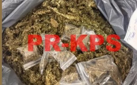 Twee aangehouden bij drugsinval in Paramaribo, ruim 3 kilo in beslag genomen