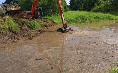 LVV pakt jarenlange onderhoudsachterstand waterwegen Lelydorp aan