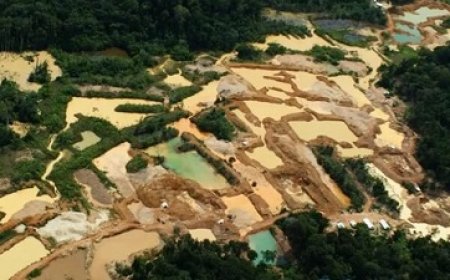 OKGS controleert illegale goudwinning in Brownsberg Natuurpark