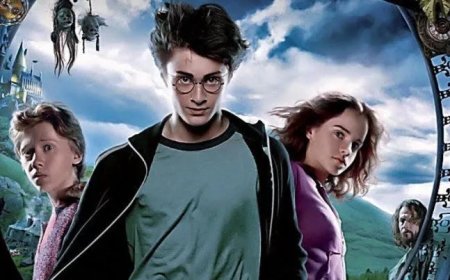 Harry Potter-fans laten stroomkabel verleggen om graf van Dobby te beschermen