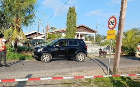 Voetganger overleden na aanrijding op Santopolderweg