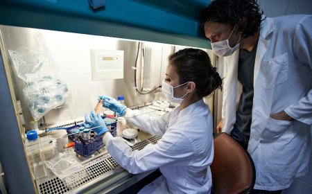 Drievoudige therapie wist hiv bij pasgeboren aapjes